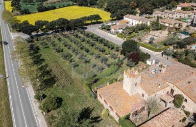 Casa de campo en venta Platja d'Aro, Cataluña:  Propiedad