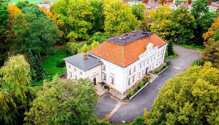 Palacio en venta Gola, województwo wielkopolskie,  Polonia