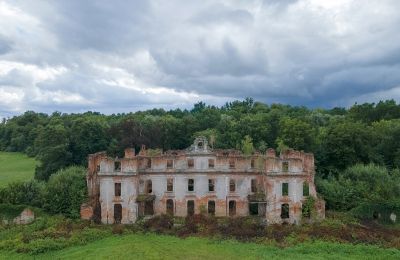 Palacio en venta Słobity, Voivodato de Varmia y Masuria:  Vista frontal