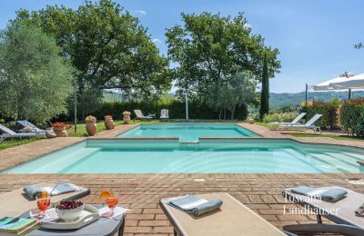 Finca en venta Asciano, Toscana:  RIF 2992 Pool und Liegemöglichkeit