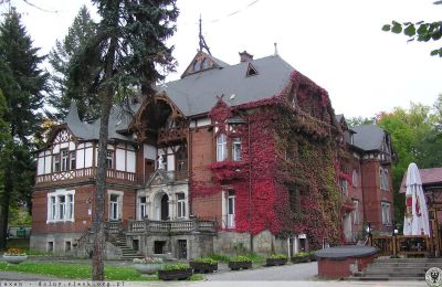 Villa histórica en venta Kudowa-Zdrój, Zdrojowa 36, Voivodato de Baja Silesia,, Imagen 4/6