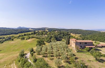 Casa de campo en venta Asciano, Toscana:  RIF 2982 Rustico und Umgebung