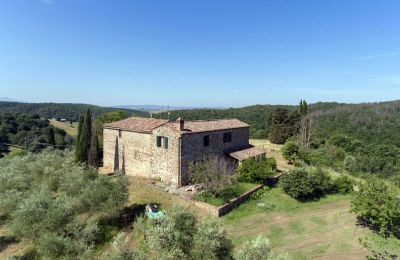 Casa de campo en venta Asciano, Toscana:  RIF 2982 Ansicht Anwesen