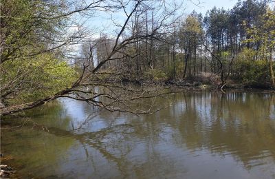 Parque histórico en venta Dębe Wielkie, Ruda, Voivodato de Mazovia, Lago