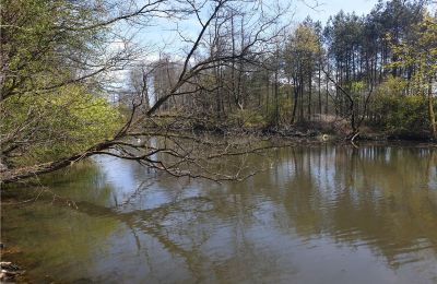 Parque histórico en venta Dębe Wielkie, Ruda, Voivodato de Mazovia:  Lago