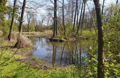 Parque histórico en venta Dębe Wielkie, Ruda, Voivodato de Mazovia:  