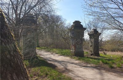 Parque histórico en venta Dębe Wielkie, Ruda, Voivodato de Mazovia, Imagen 2/24
