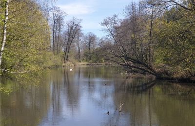 Parque histórico en venta Dębe Wielkie, Ruda, Voivodato de Mazovia:  
