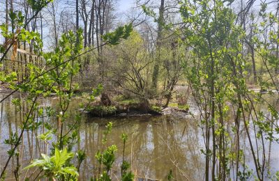 Parque histórico en venta Dębe Wielkie, Ruda, Voivodato de Mazovia:  