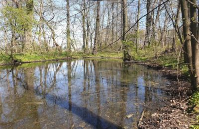 Parque histórico en venta Dębe Wielkie, Ruda, Voivodato de Mazovia:  