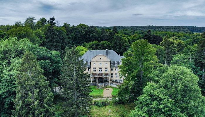 Palacio en venta Trzcinno, Voivodato de Pomerania,  Polonia