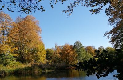 Palacio en venta Trzcinno, Trzcinno 21, Voivodato de Pomerania, Lago
