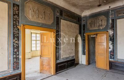 Palacio en venta Cítoliby, Zamek Cítoliby, Ústecký kraj, Detalles