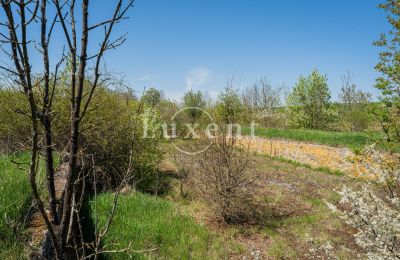 Palacio en venta Brody, Zámek Brody, Ústecký kraj, Imagen 14/19