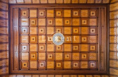 Palacio en venta Mirošov, Zámek Mirošov, Plzeňský kraj, Techo