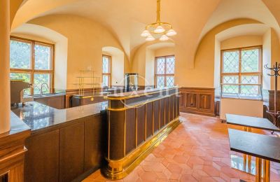 Palacio en venta Mirošov, Zámek Mirošov, Plzeňský kraj, Imagen 19/30