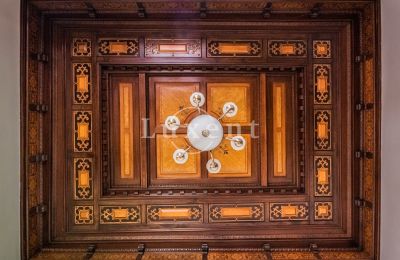 Palacio en venta Mirošov, Zámek Mirošov, Plzeňský kraj, Imagen 12/30
