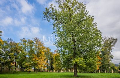 Palacio en venta Mirošov, Zámek Mirošov, Plzeňský kraj:  