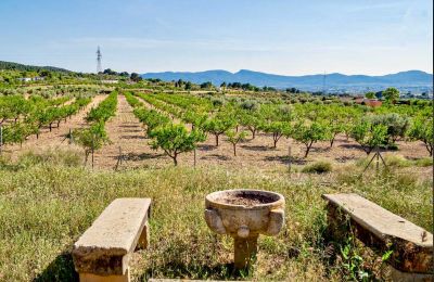 Palacio en venta Ibi, Comunidad Valenciana, Propiedad