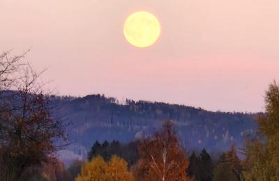 Palacio en venta Piszkowice, Baja Silesia, Okokica