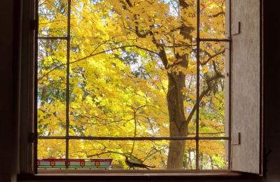 Palacio en venta Piszkowice, Baja Silesia, Imagen 26/28