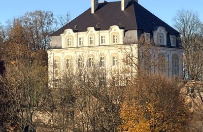Palacio en venta Piszkowice, Baja Silesia, Imagen 25/28