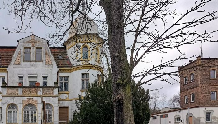 Villa histórica Tuplice 3