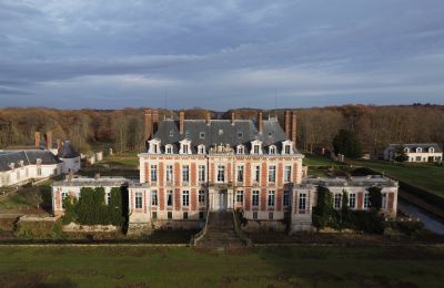 Inmuebles con carácter, Magnífico castillo cerca de París con 59 hectáreas de terreno