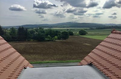 Mansión histórica en venta Strzelin, Kazanów 21, Baja Silesia, Imagen 29/35