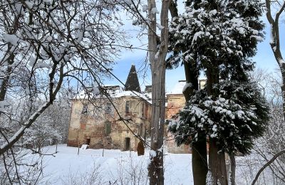 Palacio en venta Komorowice, Wrocławska 27, Voivodato de Baja Silesia, Imagen 33/36
