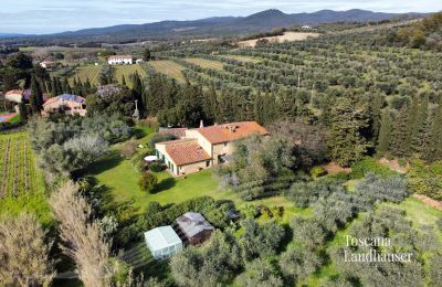 Finca en venta Castagneto Carducci, Toscana:  RIF 3057 Blick auf Anwesen und Umgebung