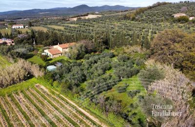 Finca en venta Castagneto Carducci, Toscana:  RIf 3057 Anwesen und Olivenbäume