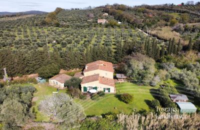 Finca en venta Castagneto Carducci, Toscana:  RIF 3057 Haus und Oliven