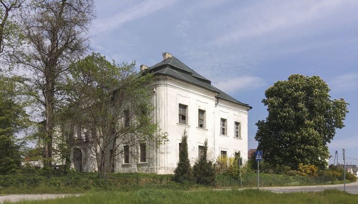 Palacio Pisarzowice 3