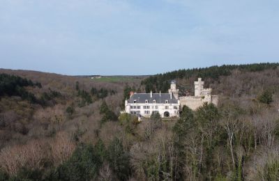 Palacio en venta Veauce, Auvergne-Rhône-Alpes, Entorno de la propiedad
