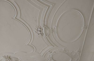 Palacio en venta 04600 Altenburg, Turingia,, Ansicht