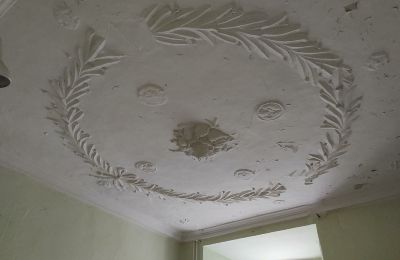 Palacio en venta 04600 Altenburg, Turingia,, Ansicht