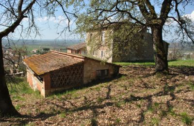 Casa de campo en venta Siena, Toscana:  RIF 3071 Blick auf Rustico