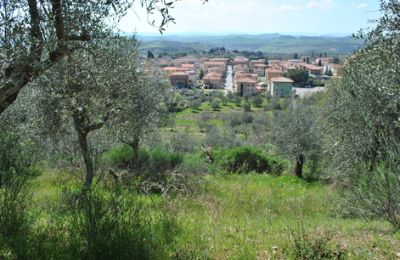 Casa de campo en venta Siena, Toscana:  RIF 3071 Ausblick