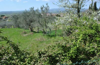 Casa de campo en venta Siena, Toscana:  RIF 3071 Garten
