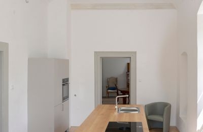 Palacio en venta 91792 Ellingen, An der Vogtei 2, Baviera, Küche