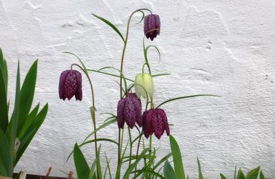 Palacio en venta 91792 Ellingen, An der Vogtei 2, Baviera, Imagen 38/61