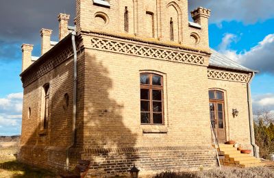 Mansión histórica en venta Chmielniki, Voivodato de Cuyavia y Pomerania, widok z tyłu