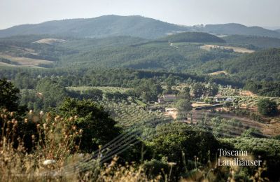 Finca en venta Manciano, Toscana:  RIF 3084 Blick auf Anwesen