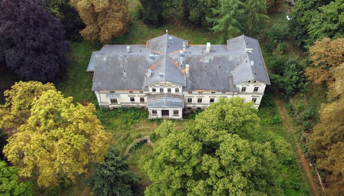 Casa señorial en venta Stradzewo, Voivodato de Pomerania Occidental,  Polonia