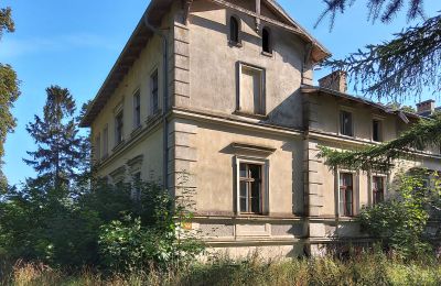 Casa señorial en venta Stradzewo, Pałac w Stradzewie, Pomerania Occidental, Vista lateral