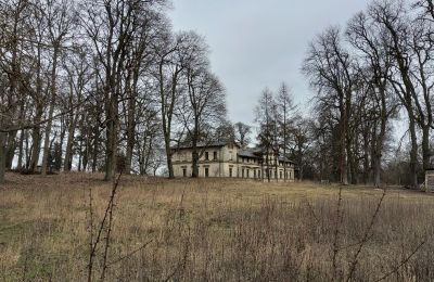 Palacio en venta Stradzewo, Pałac w Stradzewie, Voivodato de Pomerania Occidental:  Jardín del Palacio