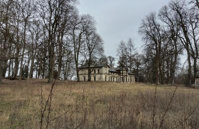 Casa señorial en venta Stradzewo, Pałac w Stradzewie, Pomerania Occidental, Jardín del Palacio