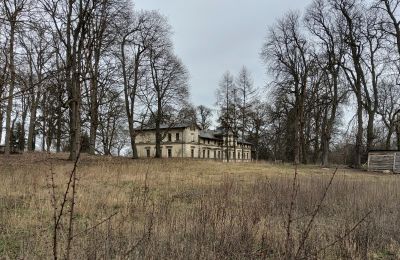 Casa señorial en venta Stradzewo, Pałac w Stradzewie, Pomerania Occidental, Imagen 15/15