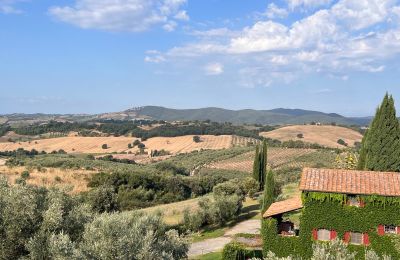Finca en venta Campagnatico, Toscana:  Vista